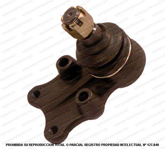 Rotula inferior AND | 301035